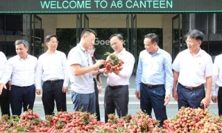 Doanh nghiệp trong khu công nghiệp chung tay tiêu thụ hơn 100 tấn vải thiều